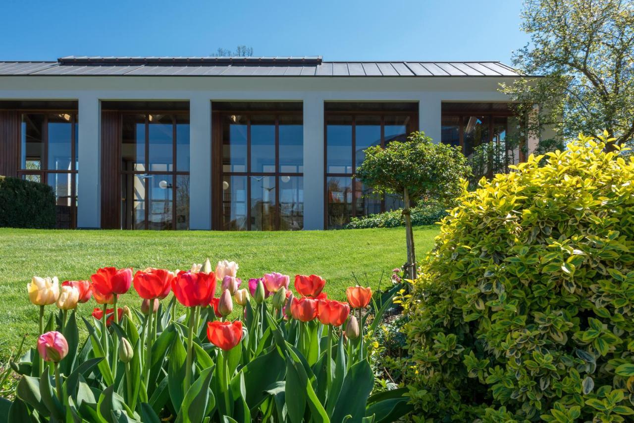 Hotel Lilienberg Ermatingen Exteriér fotografie